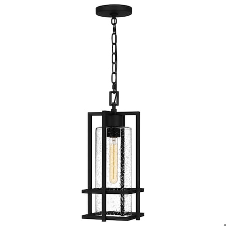 Quoizel Damien 1-Light Earth Black Outdoor Hanging Lantern DMN1907EK